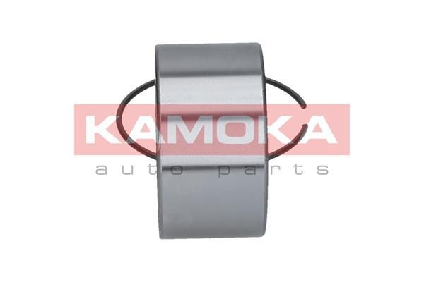 Rato guolio komplektas KAMOKA 5600017