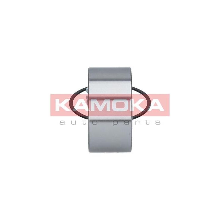 Rato guolio komplektas KAMOKA 5600019