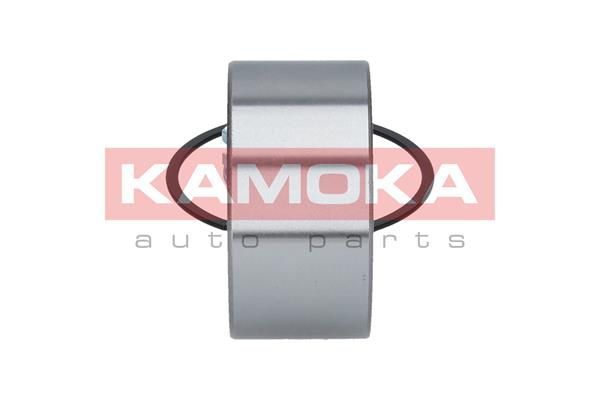 Rato guolio komplektas KAMOKA 5600019