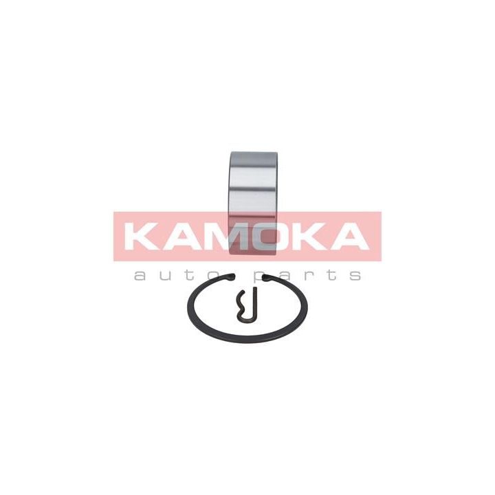 Rato guolio komplektas KAMOKA 5600038