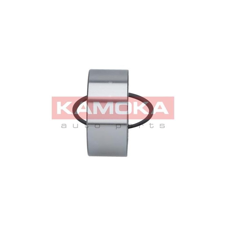 Rato guolio komplektas KAMOKA 5600038