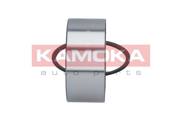Rato guolio komplektas KAMOKA 5600038