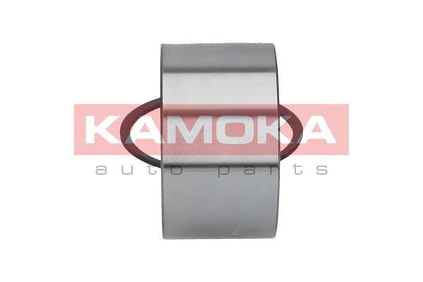 Rato guolio komplektas KAMOKA 5600043
