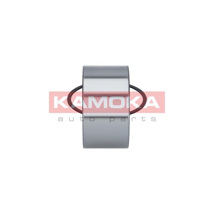 Rato guolio komplektas KAMOKA 5600044