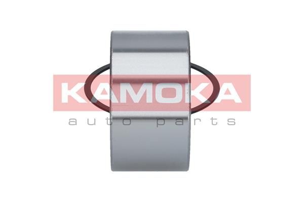 Rato guolio komplektas KAMOKA 5600044