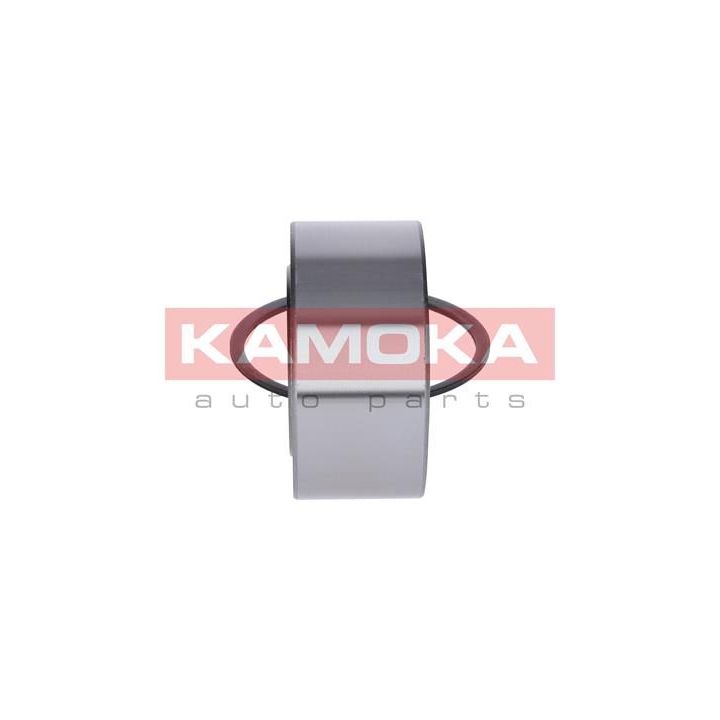 Rato guolio komplektas KAMOKA 5600063