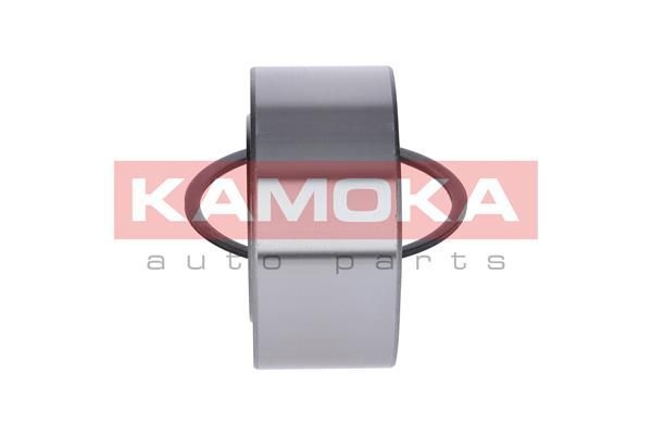 Rato guolio komplektas KAMOKA 5600063