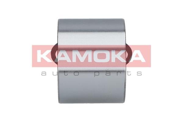 Rato guolio komplektas KAMOKA 5600066