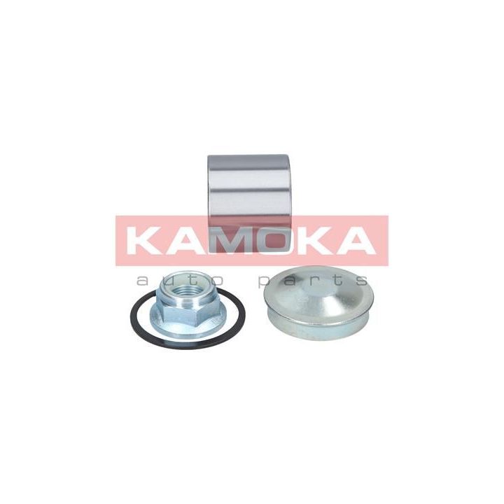 Rato guolio komplektas KAMOKA 5600067