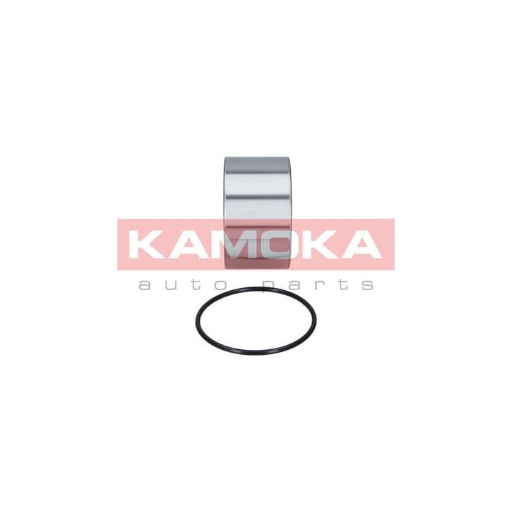 Rato guolio komplektas KAMOKA 5600068