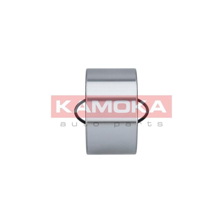 Rato guolio komplektas KAMOKA 5600068