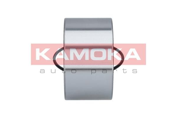 Rato guolio komplektas KAMOKA 5600068