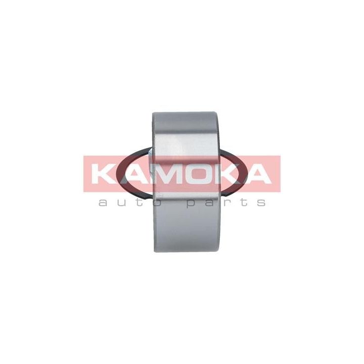 Rato guolio komplektas KAMOKA 5600085