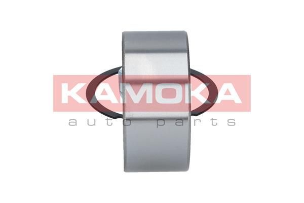 Rato guolio komplektas KAMOKA 5600085