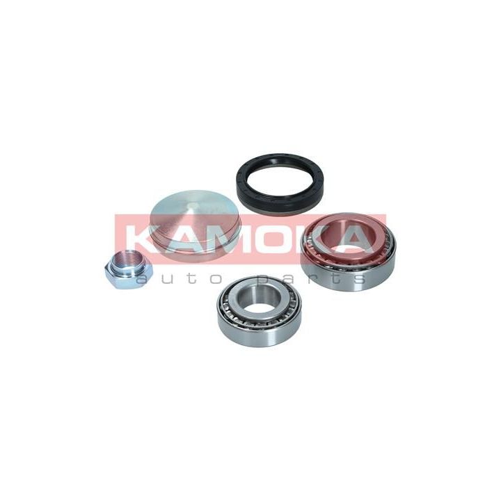 Rato guolio komplektas KAMOKA 5600124