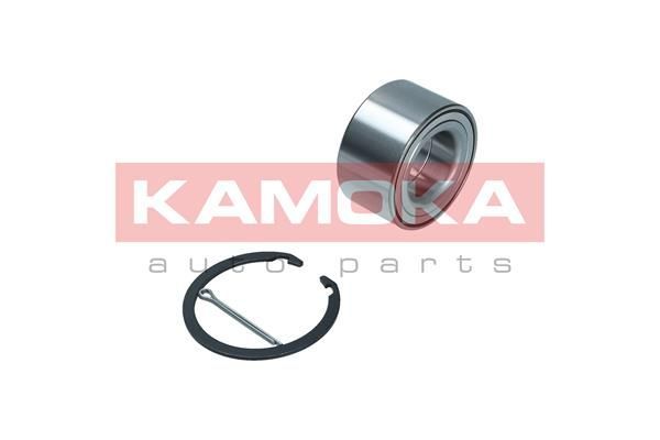 Rato guolio komplektas KAMOKA 5600159