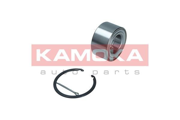 Rato guolio komplektas KAMOKA 5600164