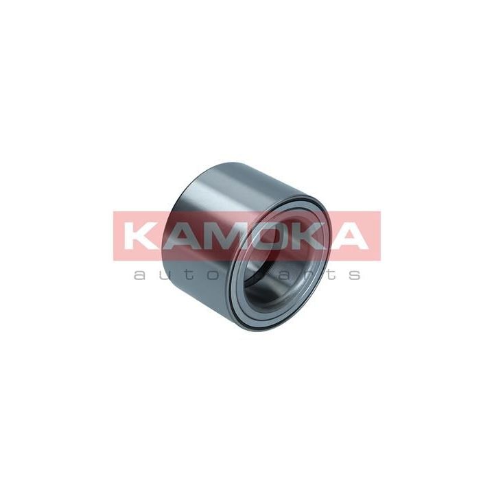 Rato guolio komplektas KAMOKA 5600169