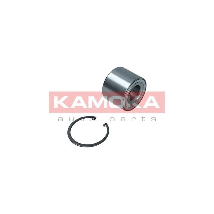 Rato guolio komplektas KAMOKA 5600171