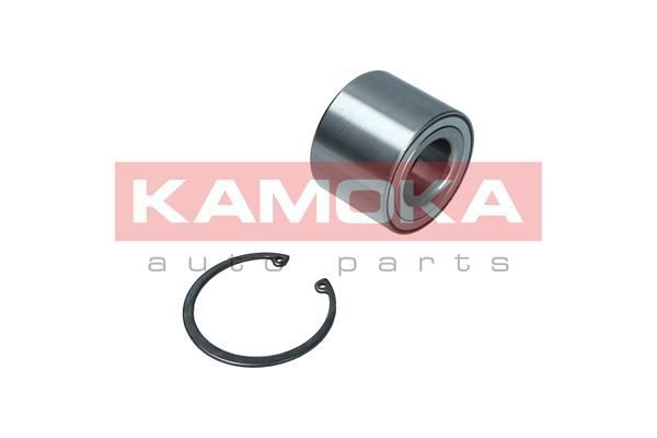 Rato guolio komplektas KAMOKA 5600171
