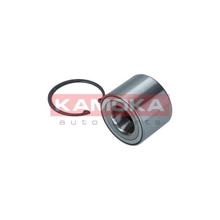 Rato guolio komplektas KAMOKA 5600171