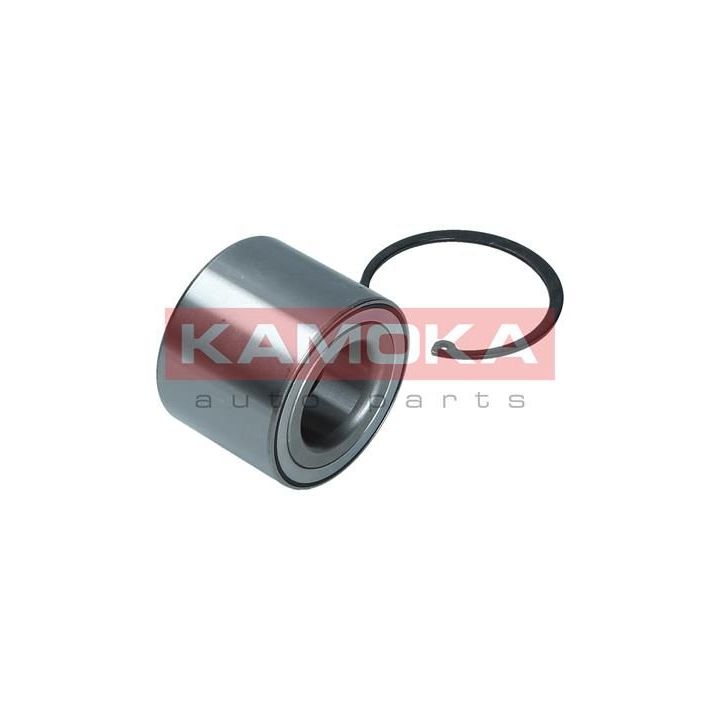 Rato guolio komplektas KAMOKA 5600171