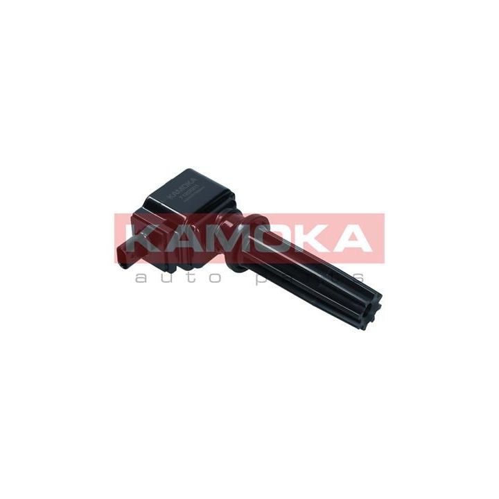 Ritė, uždegimas KAMOKA 7120001