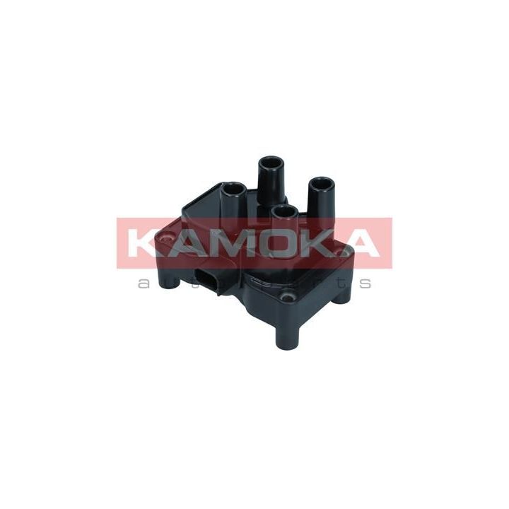 Ritė, uždegimas KAMOKA 7120003