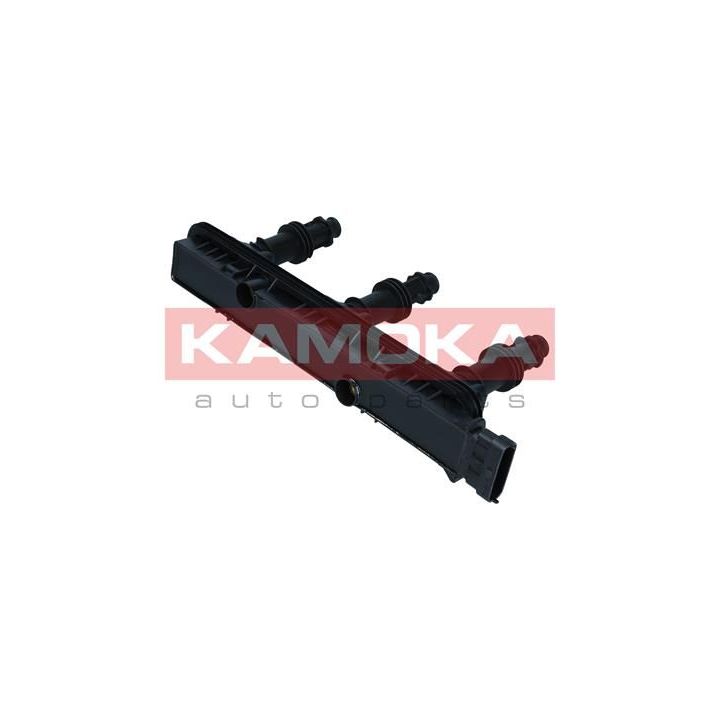 Ritė, uždegimas KAMOKA 7120004