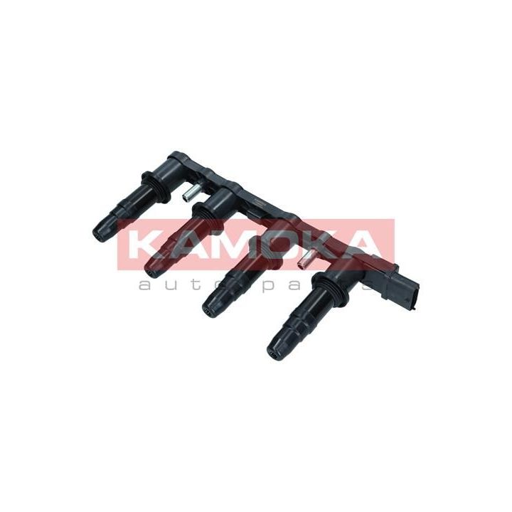 Ritė, uždegimas KAMOKA 7120007