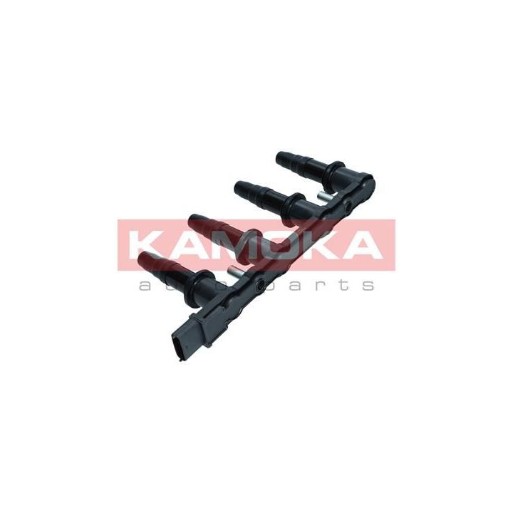 Ritė, uždegimas KAMOKA 7120007