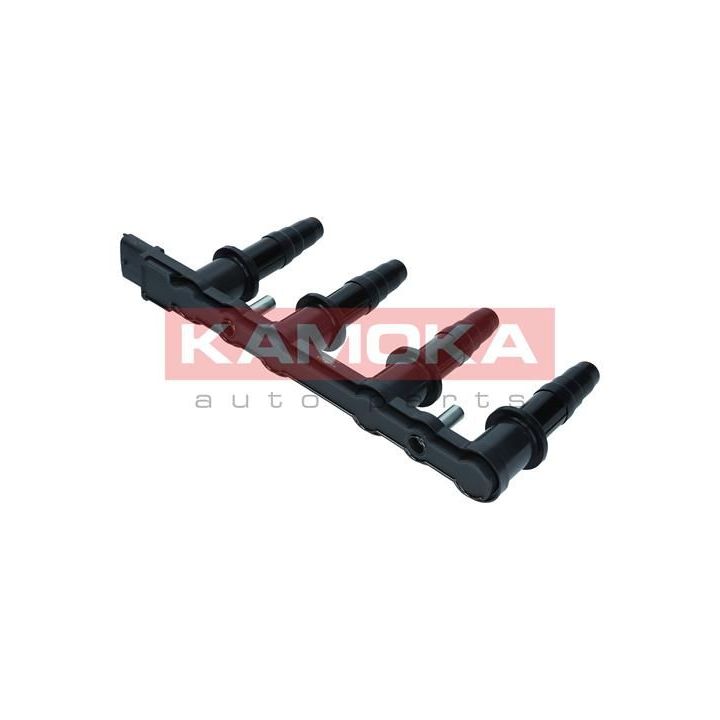 Ritė, uždegimas KAMOKA 7120007