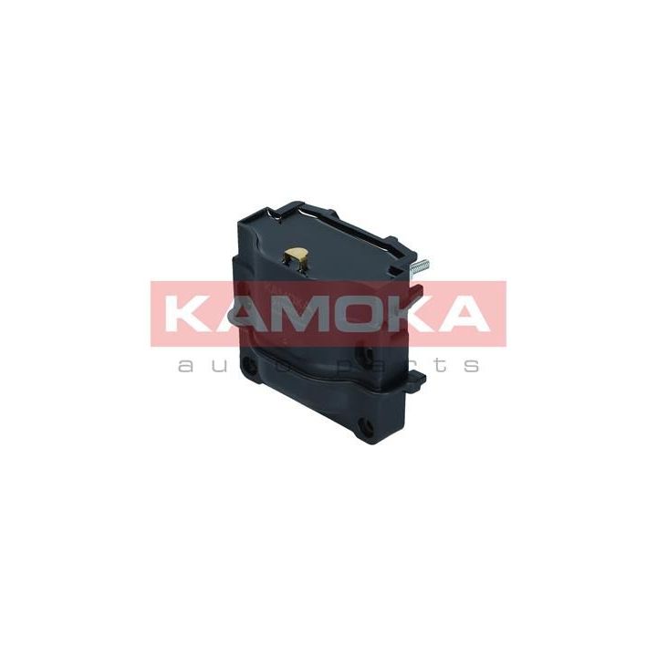 Ritė, uždegimas KAMOKA 7120010