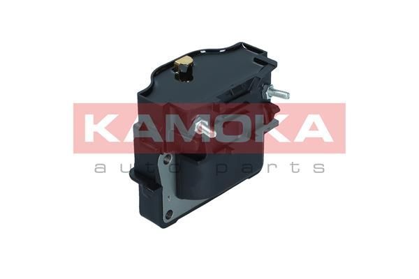 Ritė, uždegimas KAMOKA 7120010