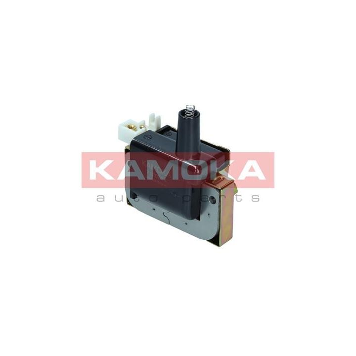 Ritė, uždegimas KAMOKA 7120014