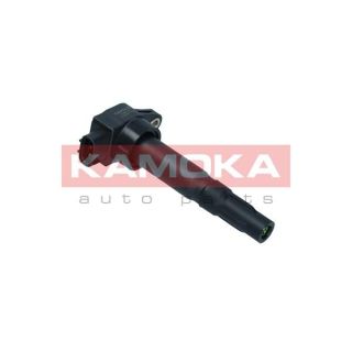 Ritė, uždegimas KAMOKA 7120018