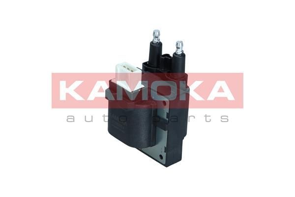 Ritė, uždegimas KAMOKA 7120024