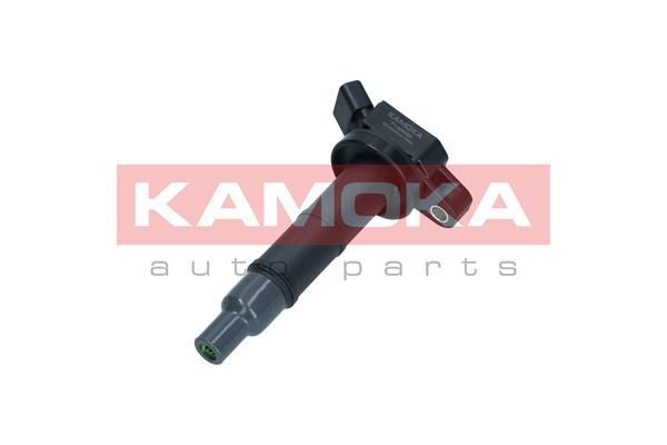 Ritė, uždegimas KAMOKA 7120030