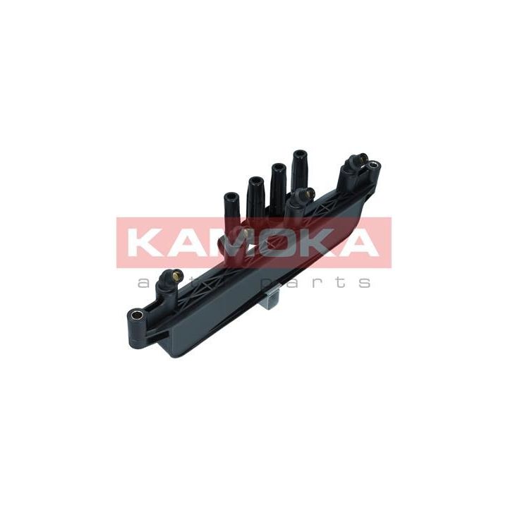 Ritė, uždegimas KAMOKA 7120038