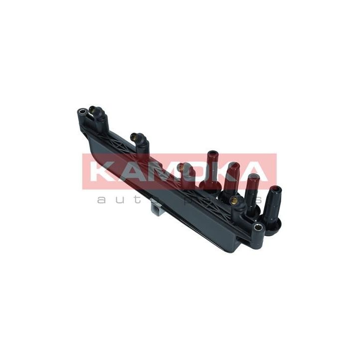 Ritė, uždegimas KAMOKA 7120038