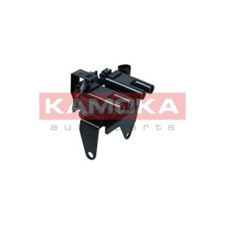 Ritė, uždegimas KAMOKA 7120041