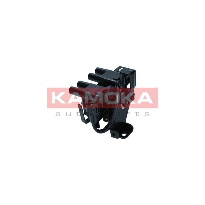 Ritė, uždegimas KAMOKA 7120041