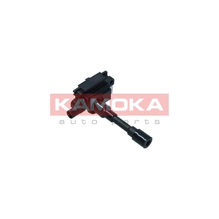 Ritė, uždegimas KAMOKA 7120045