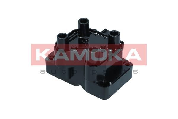 Ritė, uždegimas KAMOKA 7120046