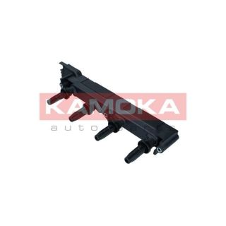 Ritė, uždegimas KAMOKA 7120047