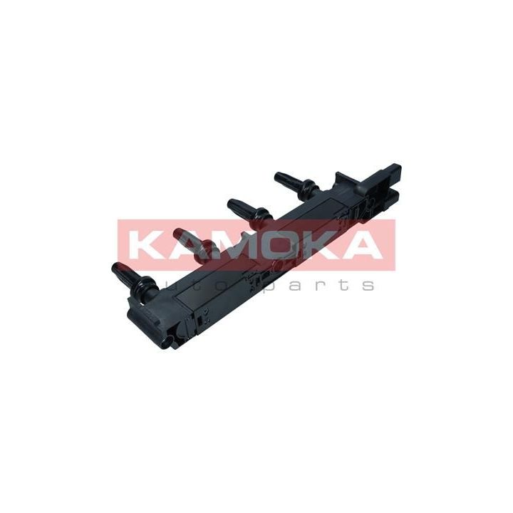 Ritė, uždegimas KAMOKA 7120047