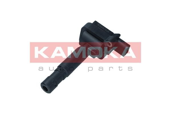Ritė, uždegimas KAMOKA 7120051