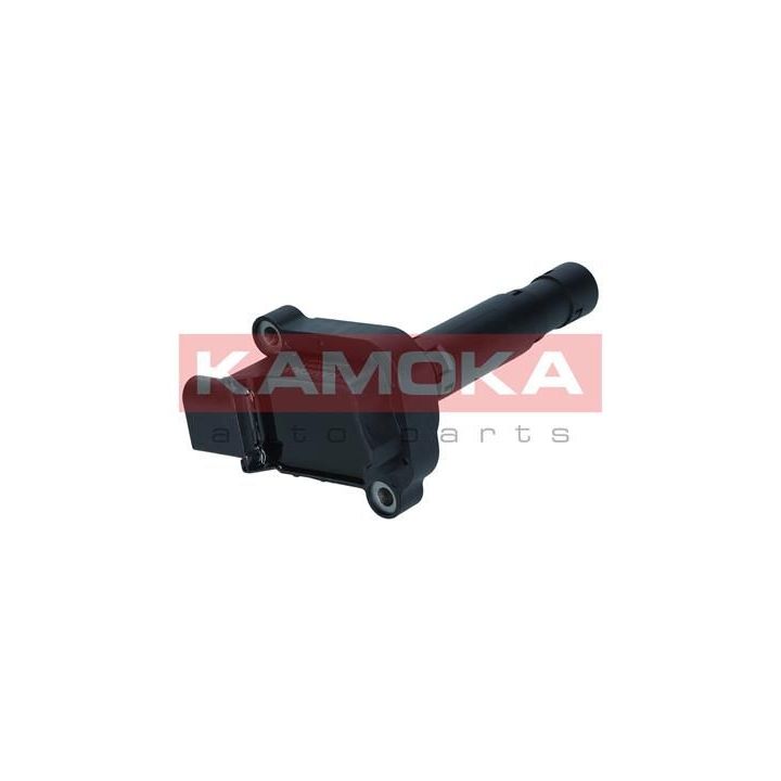 Ritė, uždegimas KAMOKA 7120051