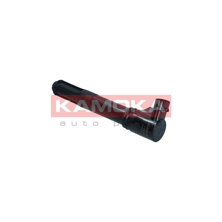 Ritė, uždegimas KAMOKA 7120053