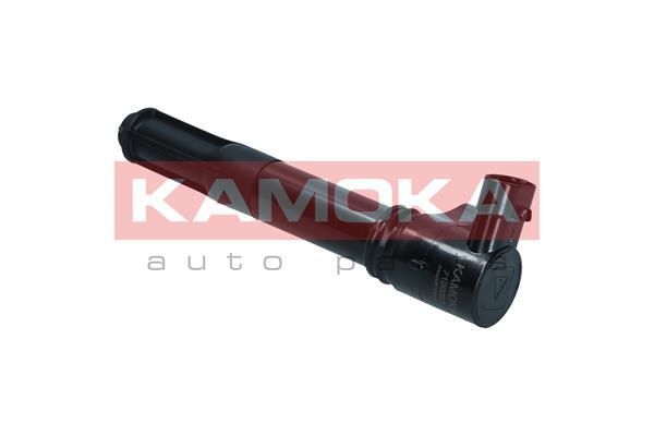 Ritė, uždegimas KAMOKA 7120053